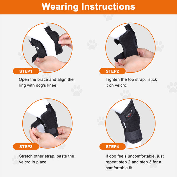 DGYAO Dog Leg Brace for Torn ACL & CCL Dog Knee Brace Wrapped (Pair ...